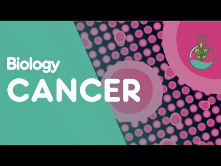 ¿Qué es el cáncer? ¿Qué es el cáncer?