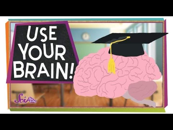 ¡Usa tu cerebro! ¡Usa tu cerebro!