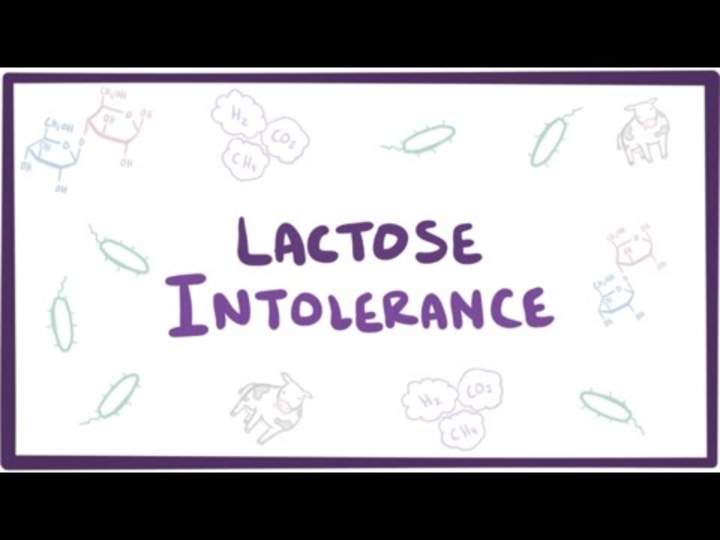 Intolerancia a la lactosa: causas, síntomas, diagnóstico, tratamiento y patología