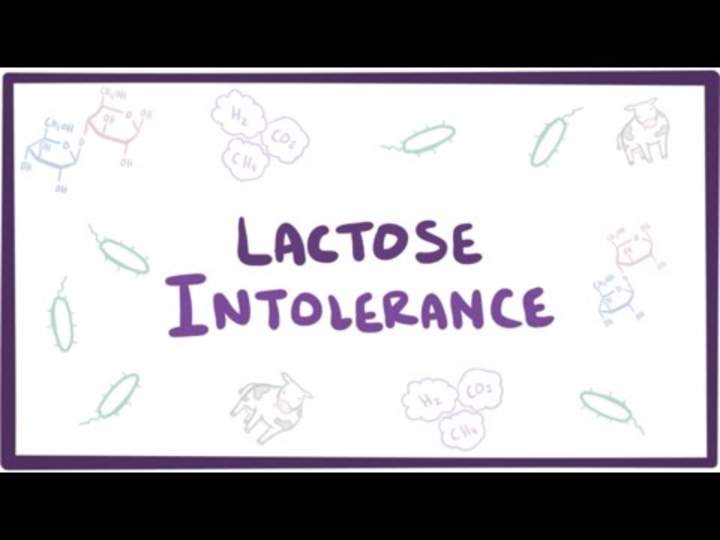 Intolerancia a la lactosa: causas, síntomas, diagnóstico, tratamiento y patología Intolerancia a la lactosa: causas, síntomas, diagnóstico, tratamiento y patología