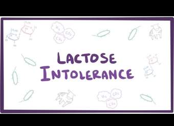 Intolerancia a la lactosa: causas, síntomas, diagnóstico, tratamiento y patología