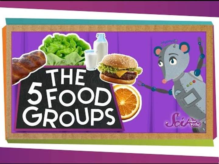 Los 5 fabulosos grupos de alimentos Los 5 fabulosos grupos de alimentos