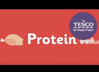 ¿Por qué nuestros cuerpos necesitan proteínas?
