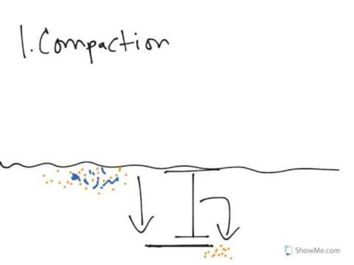 Geología Física: Sedimentaria, Litificación Geología Física: Sedimentaria, Litificación