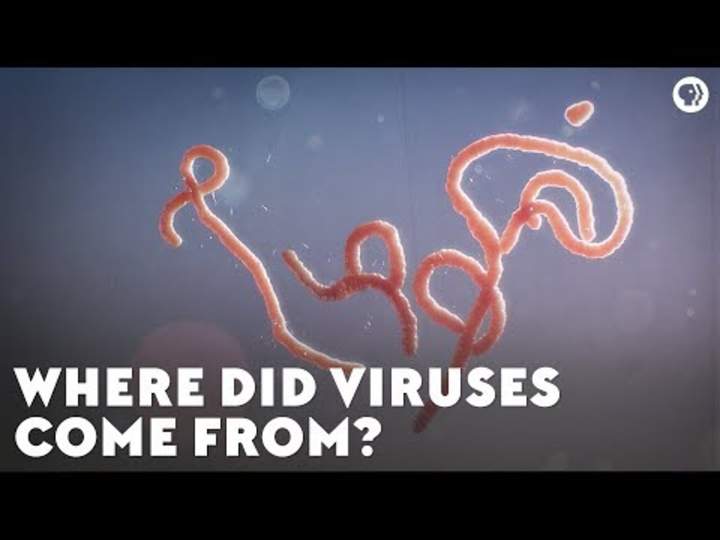 ¿De dónde vienen los virus?