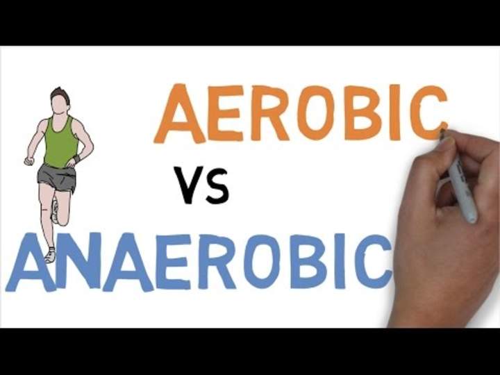 Diferencia aeróbica vs. anaeróbica Diferencia aeróbica vs. anaeróbica