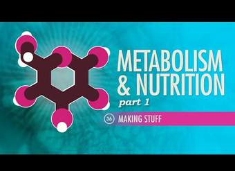 Metabolismo y Nutrición, parte 1: Curso intensivo