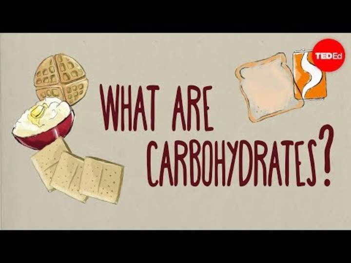 ¿Cómo afectan los carbohidratos a tu salud? ¿Cómo afectan los carbohidratos a tu salud?