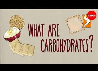 ¿Cómo afectan los carbohidratos a tu salud?