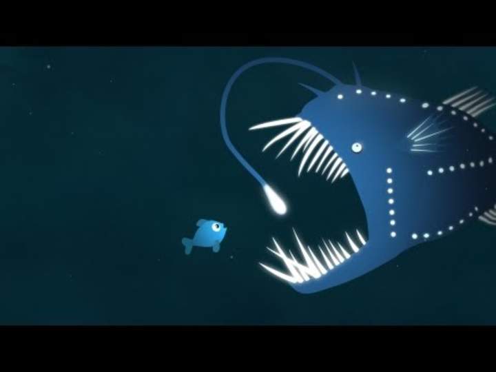 El brillo de la bioluminiscencia. El brillo de la bioluminiscencia.