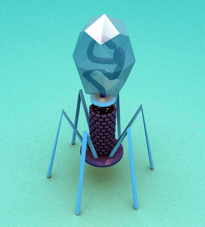 Virus Virus