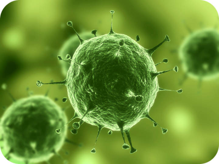 Origen del virus Origen del virus