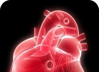 Corazón