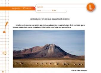 Un ave que es parte del desierto