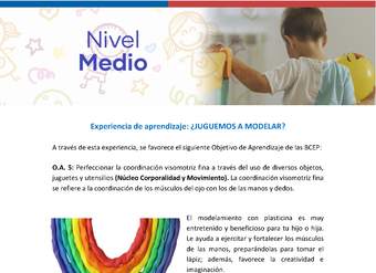 Experiencia educativa: Juguemos a modelar