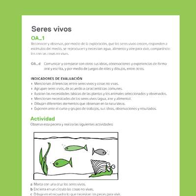Ejemplo Evaluación Programas - OA01 - Los seres vivos - 2