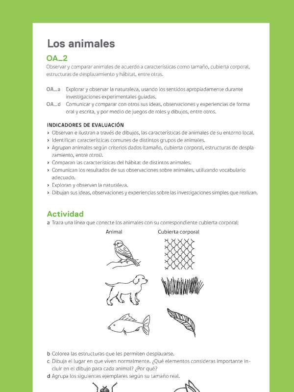 Ejemplo Evaluación Programas - OA02 - Los animales