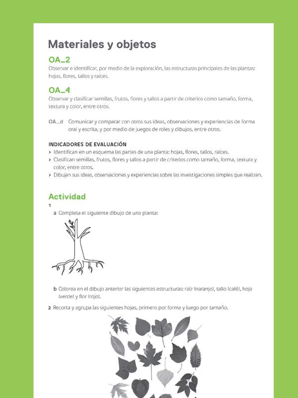 Ejemplo Evaluación Programas - OA02 - OA04 - Las plantas