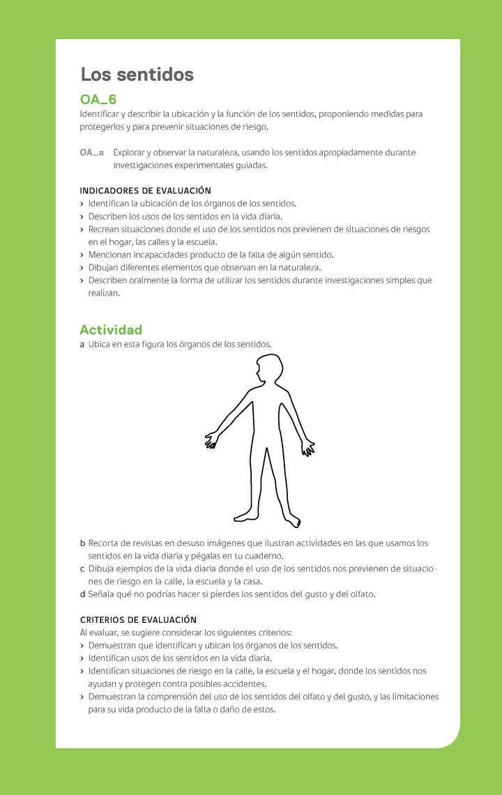 Ejemplo Evaluación Programas - OA06 - Los sentidos