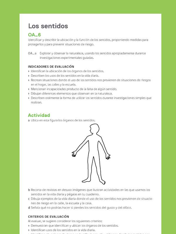 Ejemplo Evaluación Programas - OA06 - Los sentidos