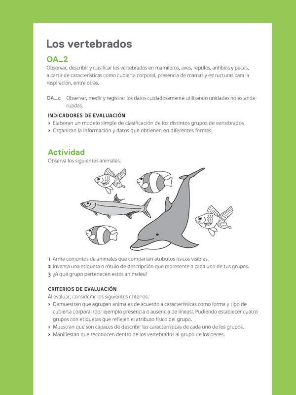 Ejemplo Evaluación Programas - OA02 - Los vertebrados