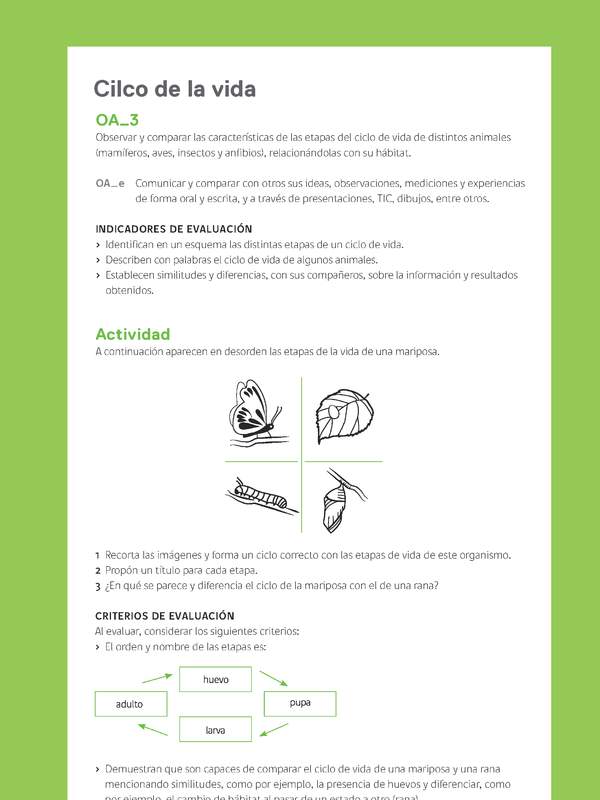 Ejemplo Evaluación Programas - OA03 - Ciclo de la vida