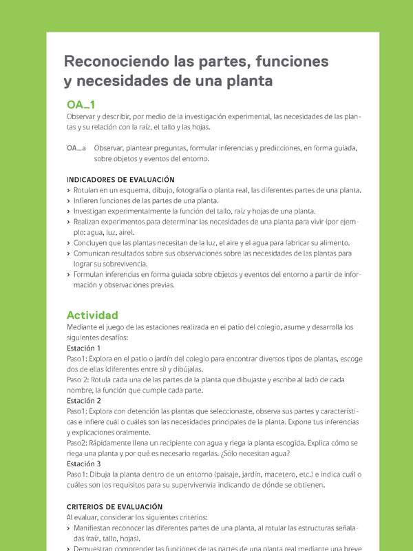 Ejemplo Evaluación Programas - OA01 - Reconociendo las partes, funciones y necesidades de una planta