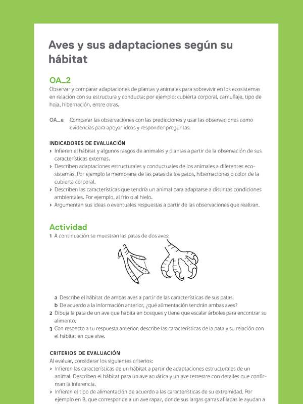 Ejemplo Evaluación Programas - OA02 - Aves y sus adaptaciones según su hábitat