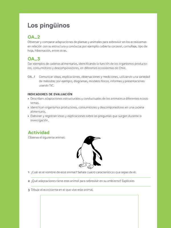 Ejemplo Evaluación Programas - OA02 - OA03 - Los pingüinos