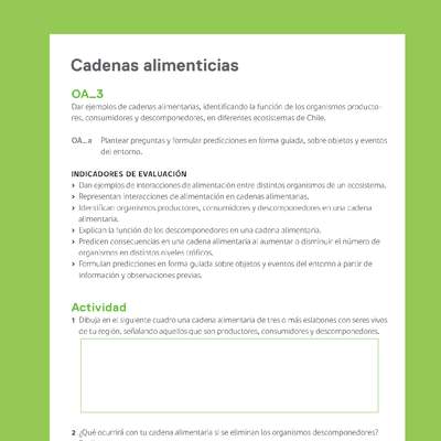 Ejemplo Evaluación Programas - OA03 - Cadenas alimenticias