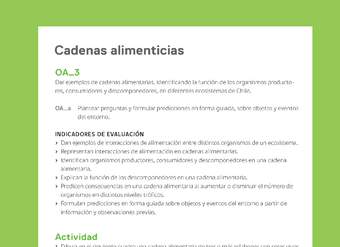 Ejemplo Evaluación Programas - OA03 - Cadenas alimenticias