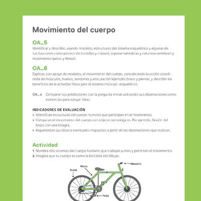 Ejemplo Evaluación Programas - OA05 - OA06 - Movimiento del cuerpo