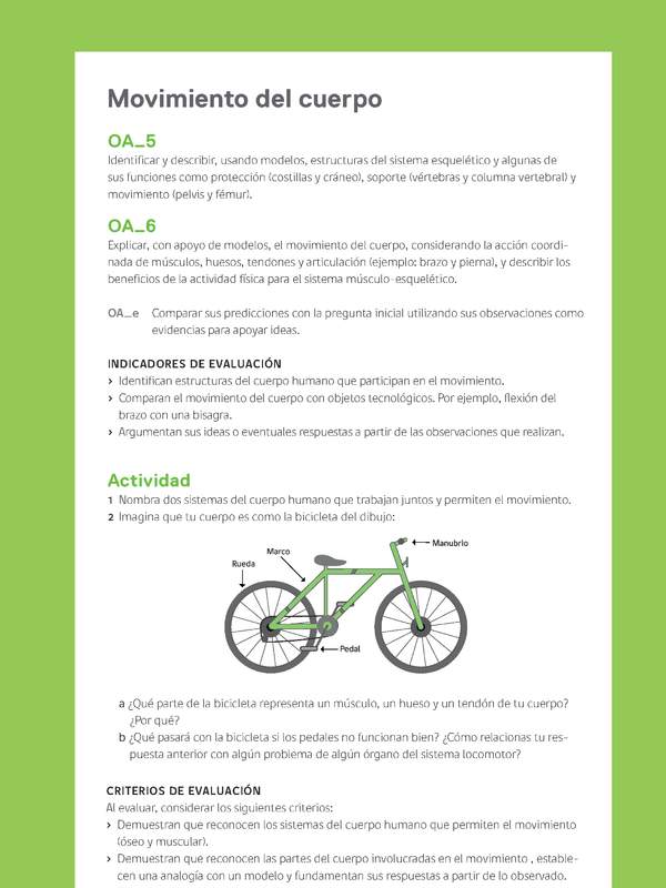 Ejemplo Evaluación Programas - OA05 - OA06 - Movimiento del cuerpo