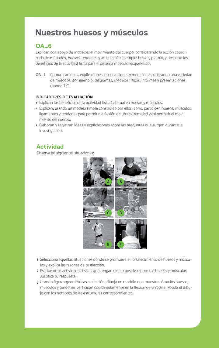 Ejemplo Evaluación Programas - OA06 - Nuestros huesos y músculos