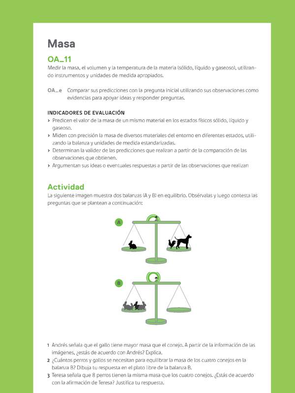 Ejemplo Evaluación Programas - OA11 - Masa