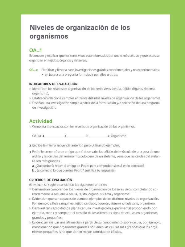 Ejemplo Evaluación Programas - OA01 - Niveles de organización de los organismos