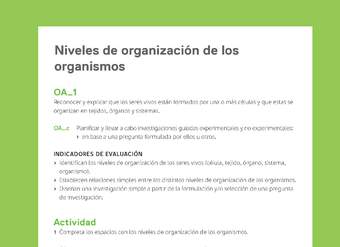 Ejemplo Evaluación Programas - OA01 - Niveles de organización de los organismos