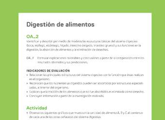 Ejemplo Evaluación Programas - OA02 - Digestión de alimentos