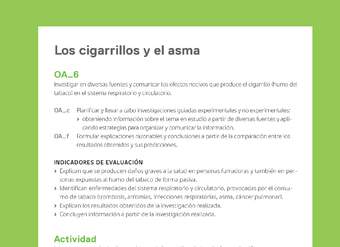 Ejemplo Evaluación Programas - OA06 - Los cigarrillos y el asma