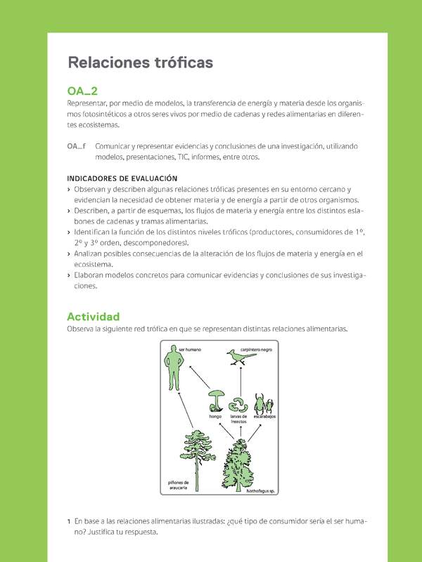 Ejemplo Evaluación Programas - OA02 - Relaciones tróficas