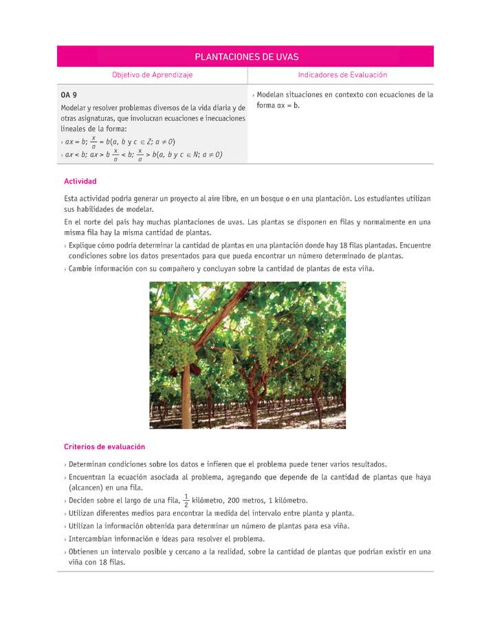 Evaluación Programas - MA07 OA09 - U2 - PLANTACIONES DE UVAS