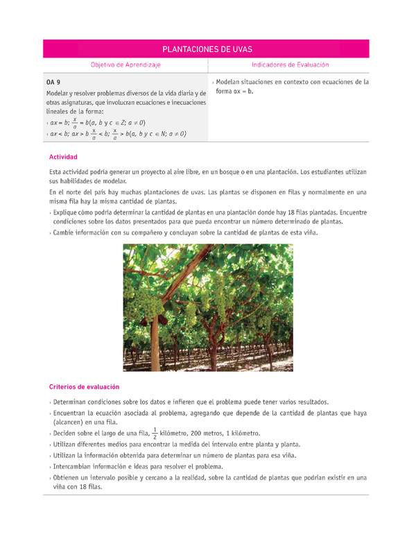 Evaluación Programas - MA07 OA09 - U2 - PLANTACIONES DE UVAS