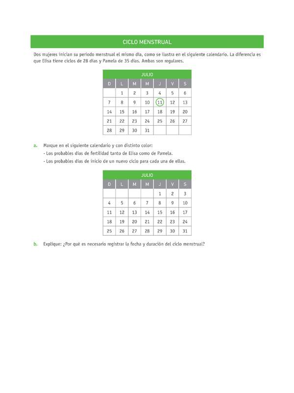 Evaluación Programas - CN07 OA02 - U4 - CICLO MENSTRUAL