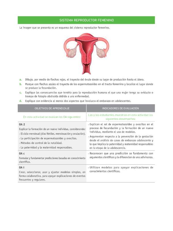 Evaluación Programas - CN07 OA02 - U4 - SISTEMA REPRODUCTOR FEMENINO