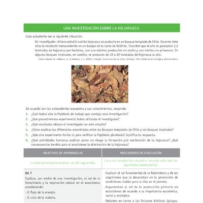 Evaluación Programas - CN1M - OA07 - U3 - UNA INVESTIGACIÓN SOBRE LA HOJARASCA