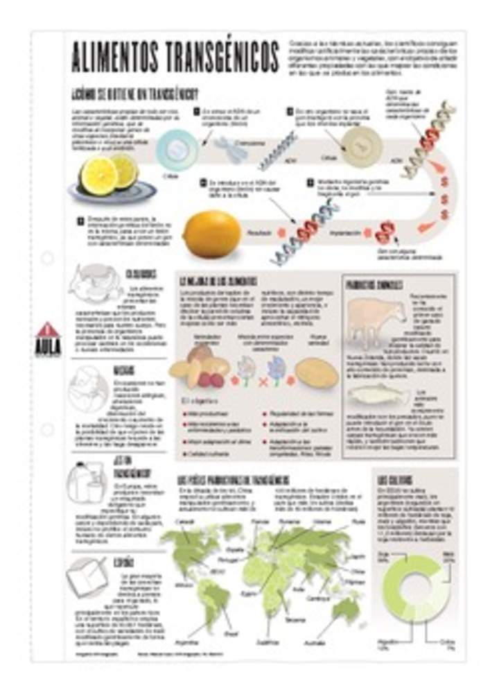 Infografía: Alimentos transgénicos