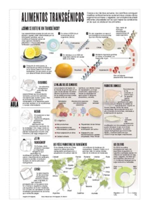 Infografía: Alimentos transgénicos