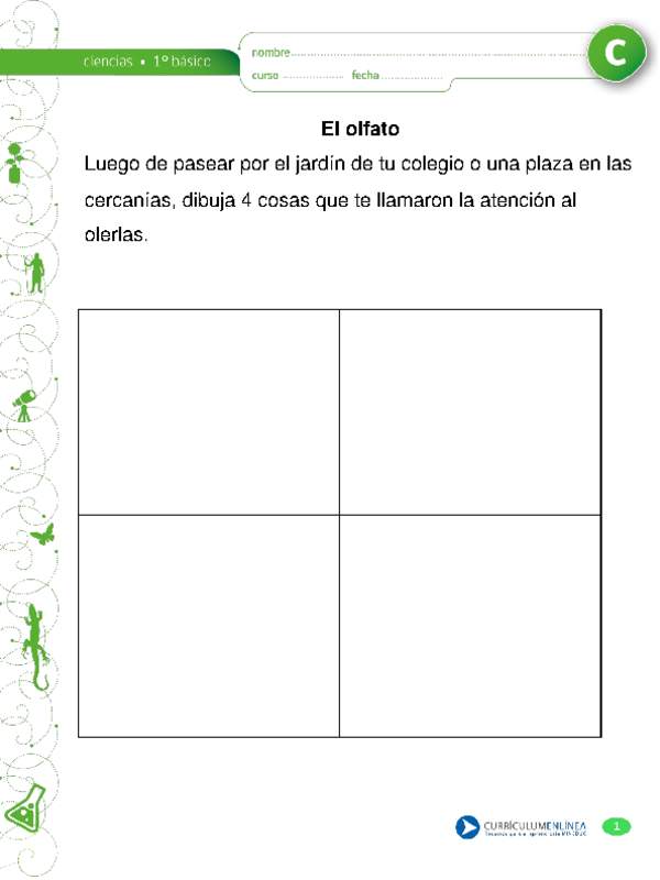 El olfato