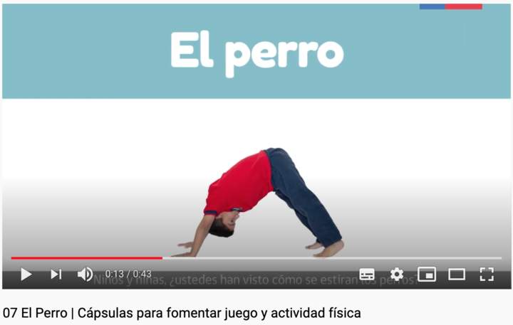 El Perro | Cápsulas para fomentar juego y actividad física