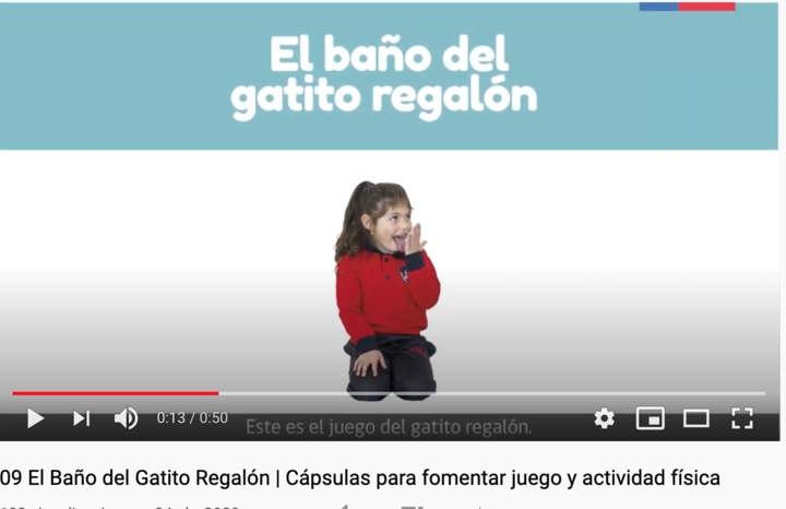 El Baño del Gatito Regalón | Cápsulas para fomentar juego y actividad física